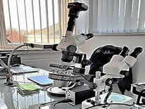 Gemmologisches Labor im Einsatz